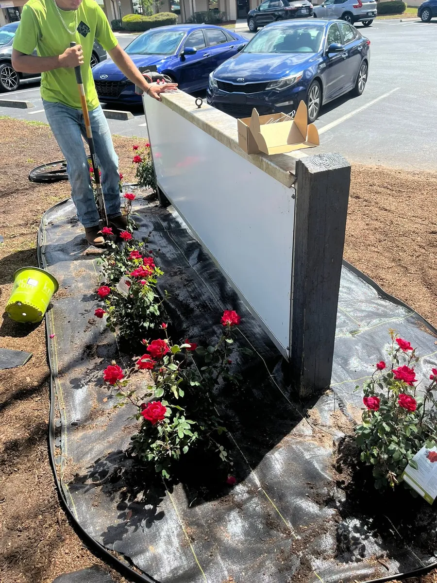 Rose bed install at a commercial property