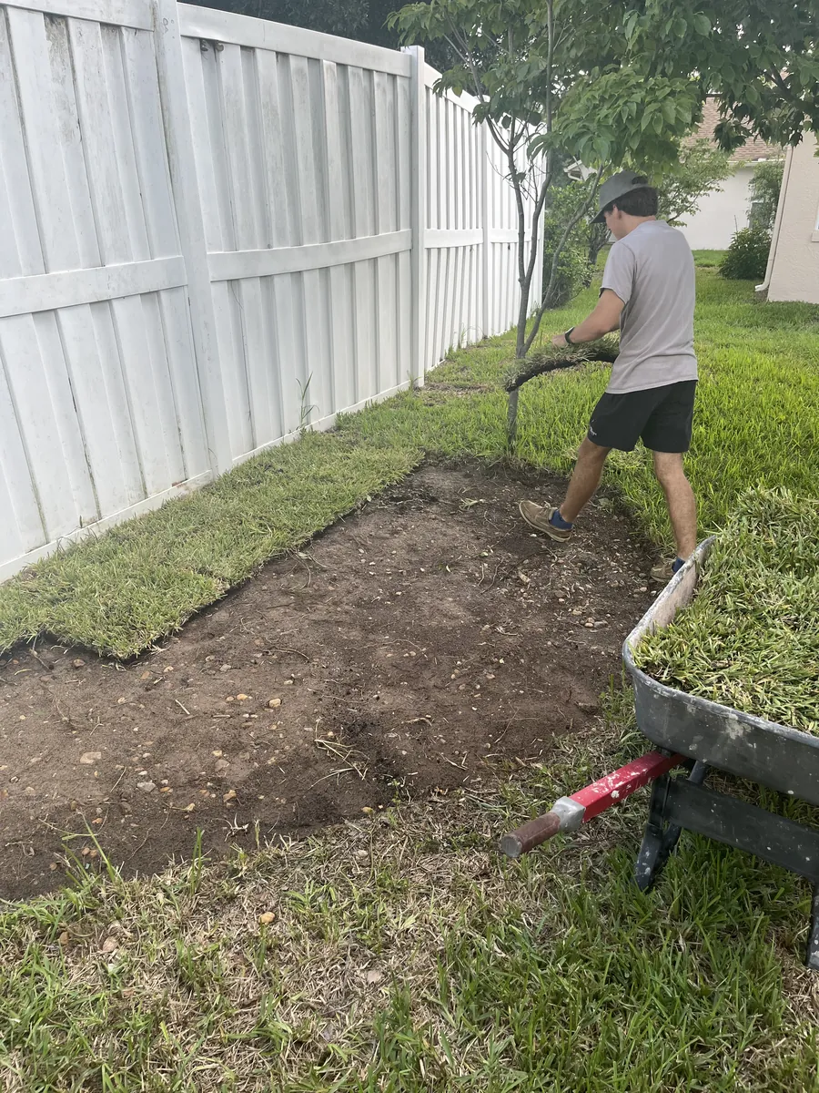 Fresh sod installation along a fence line